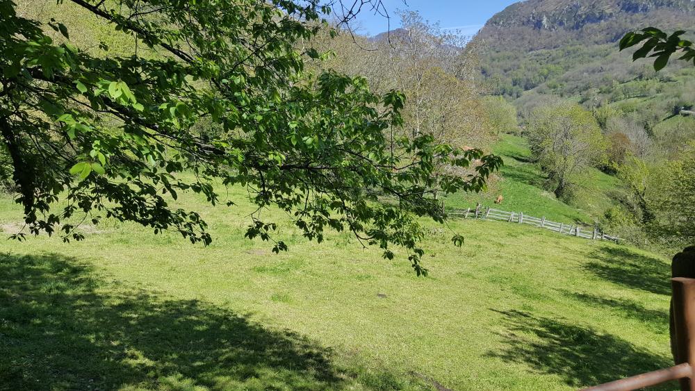  for sale country house Bezanes Nalón 13