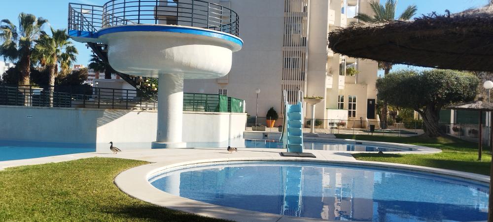  for sale apartment Playa De San Juan Alacantí 6