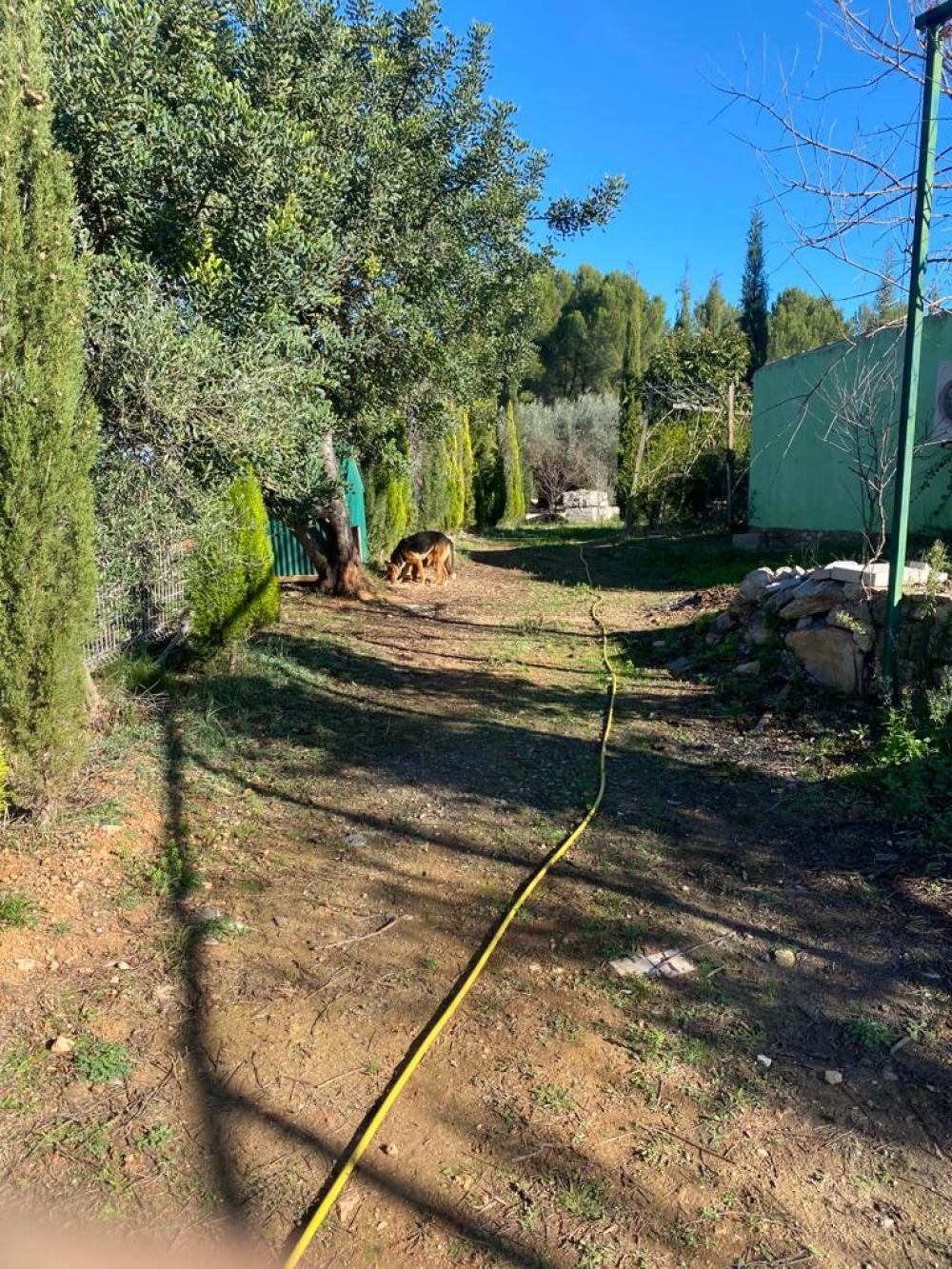  for sale plot Vilafamés Plana Alta 15