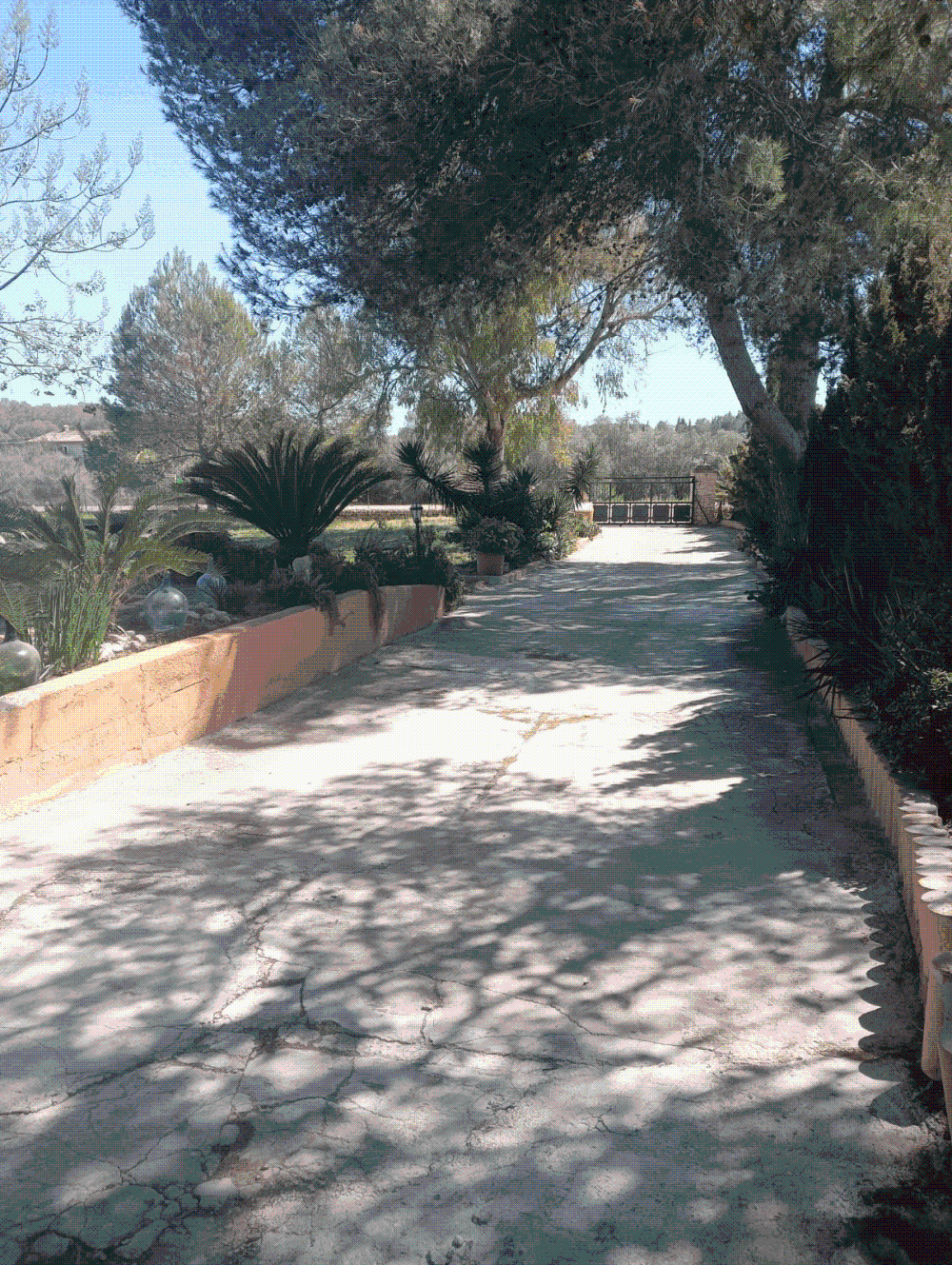  for sale villa Biniali Pla (Es) 4