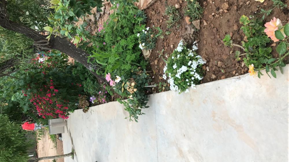  for sale plot Vilafamés Plana Alta 35