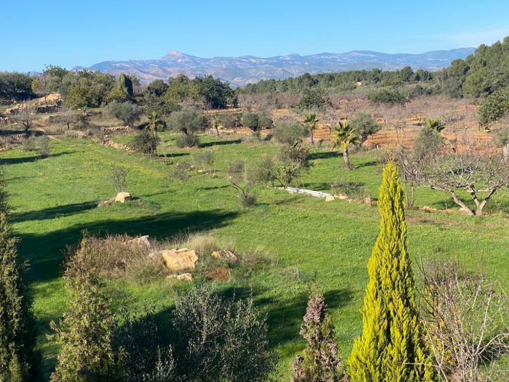  for sale plot Vilafamés Plana Alta 9