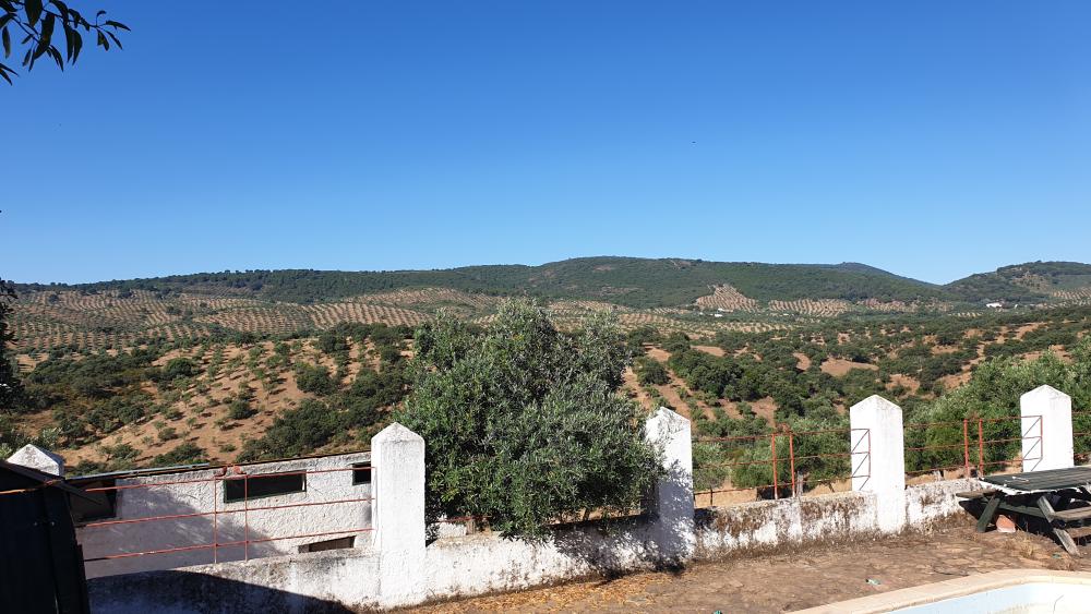  for sale country house Pozoblanco Pedroches (Los) 6