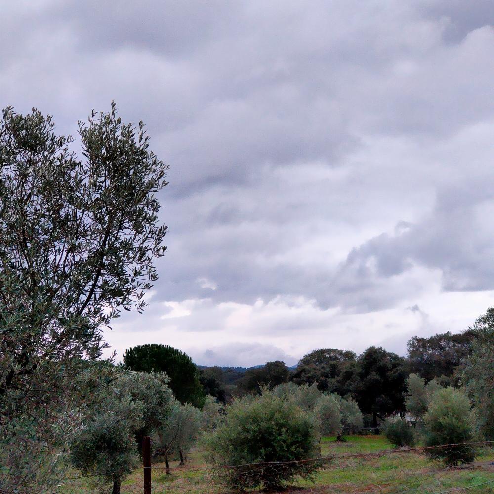  for sale country house Espiel Valle Del Guadiato 18