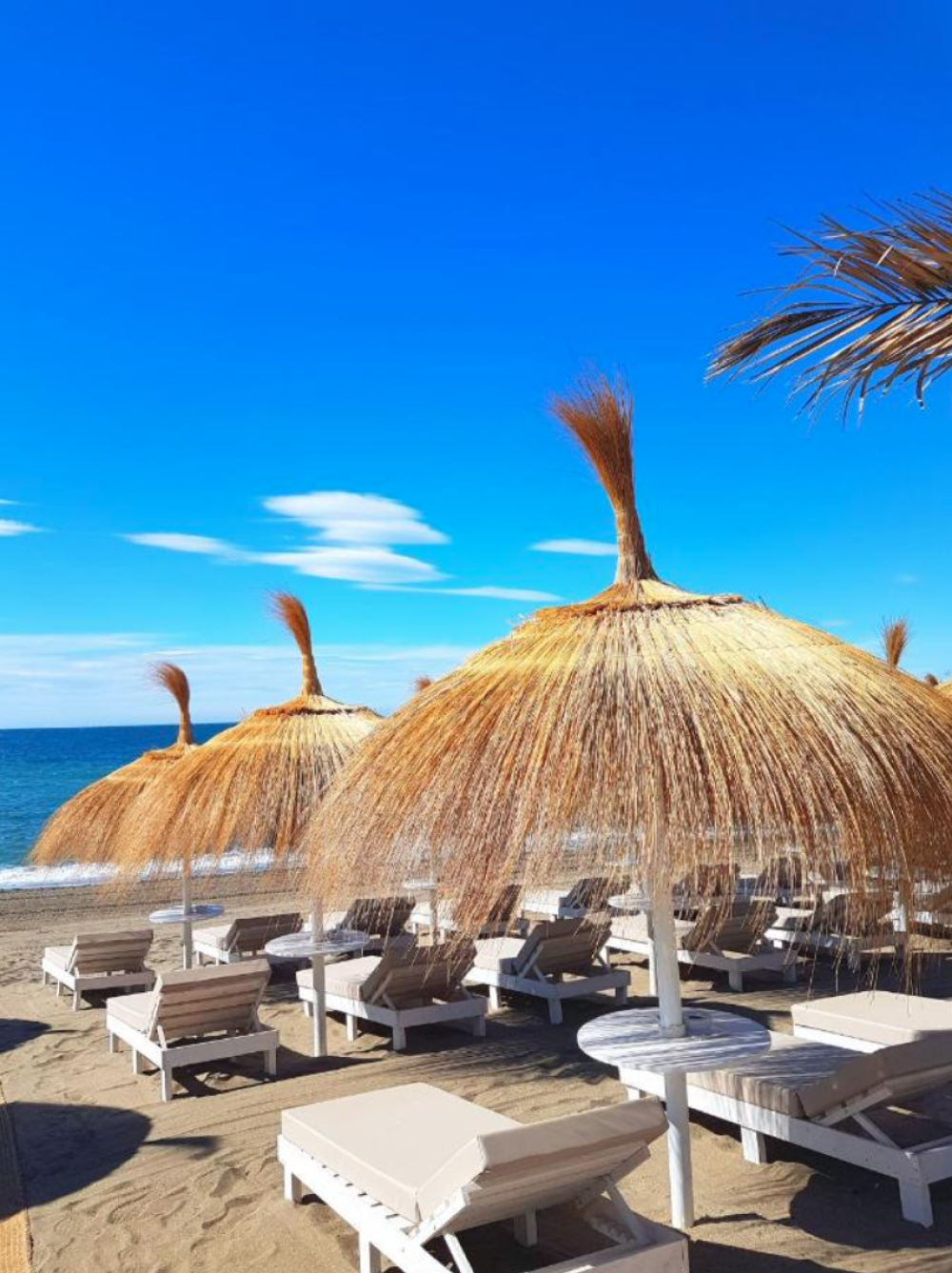  for sale hotel Puerto Banús Costa Del Sol Occidental 10