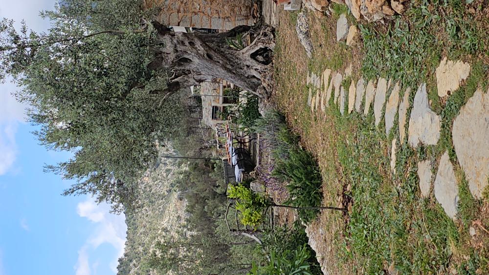  for sale country house Fornalutx Tramuntana 17