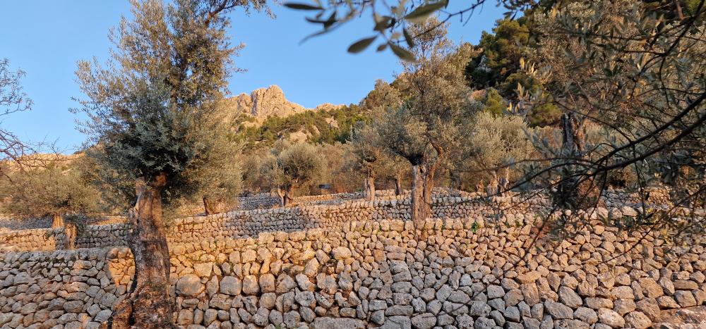  for sale country house Fornalutx Tramuntana 8