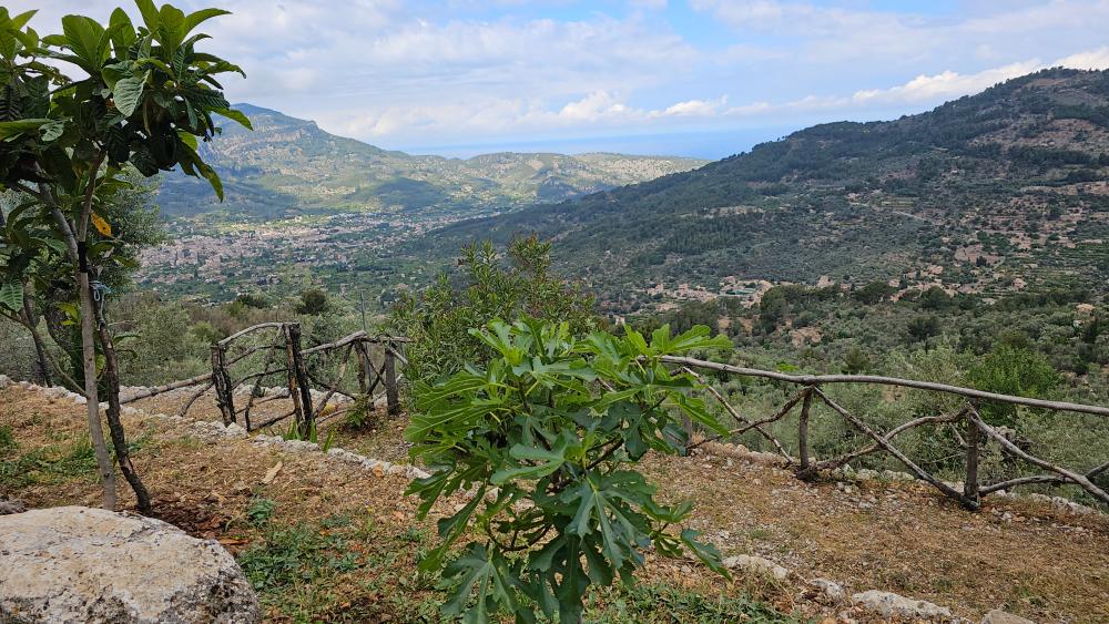 for sale country house Fornalutx Tramuntana 15