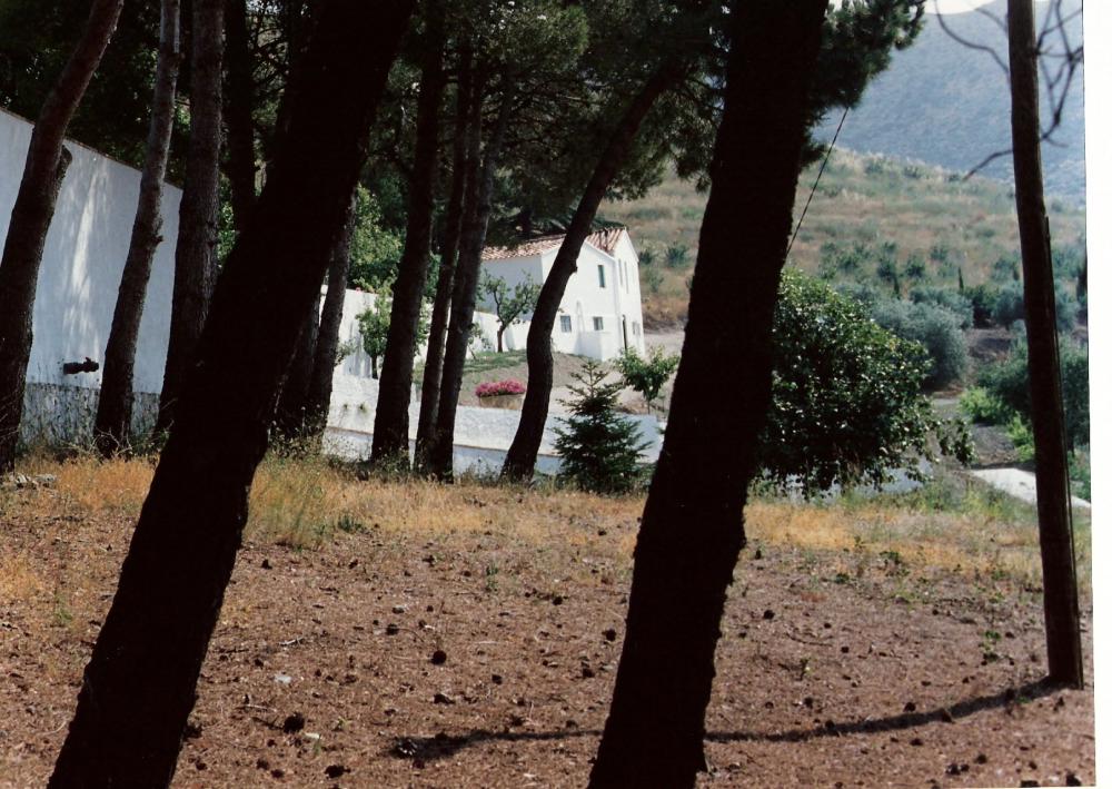  for sale villa Almoster Baix Camp 24