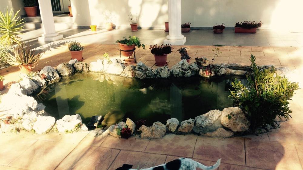  for sale manor house Picassent Horta Sud 16