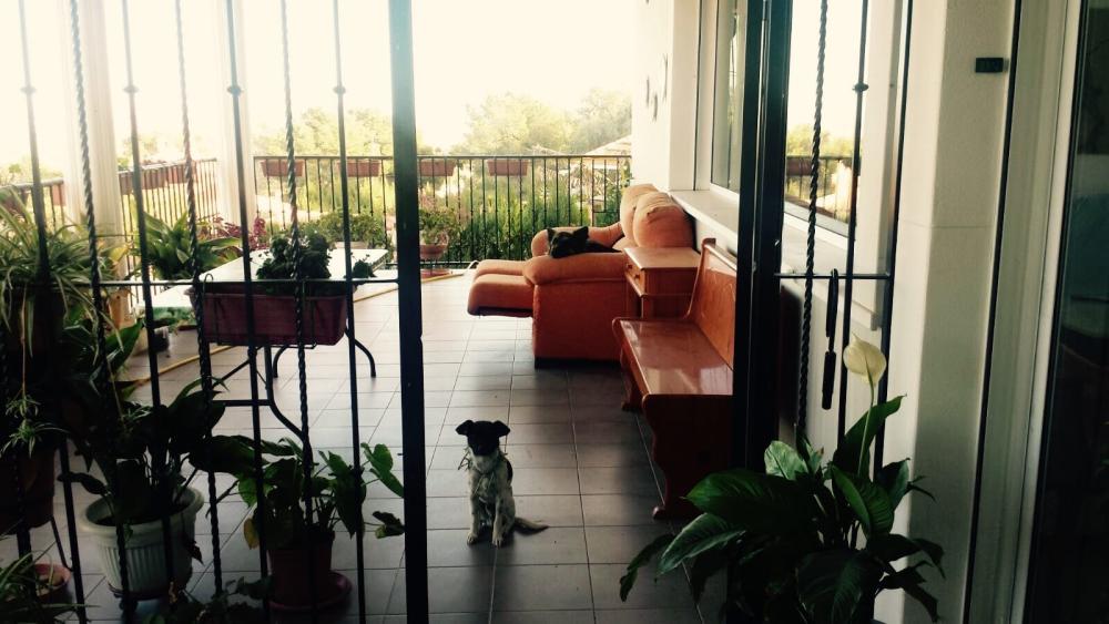  for sale manor house Picassent Horta Sud 17