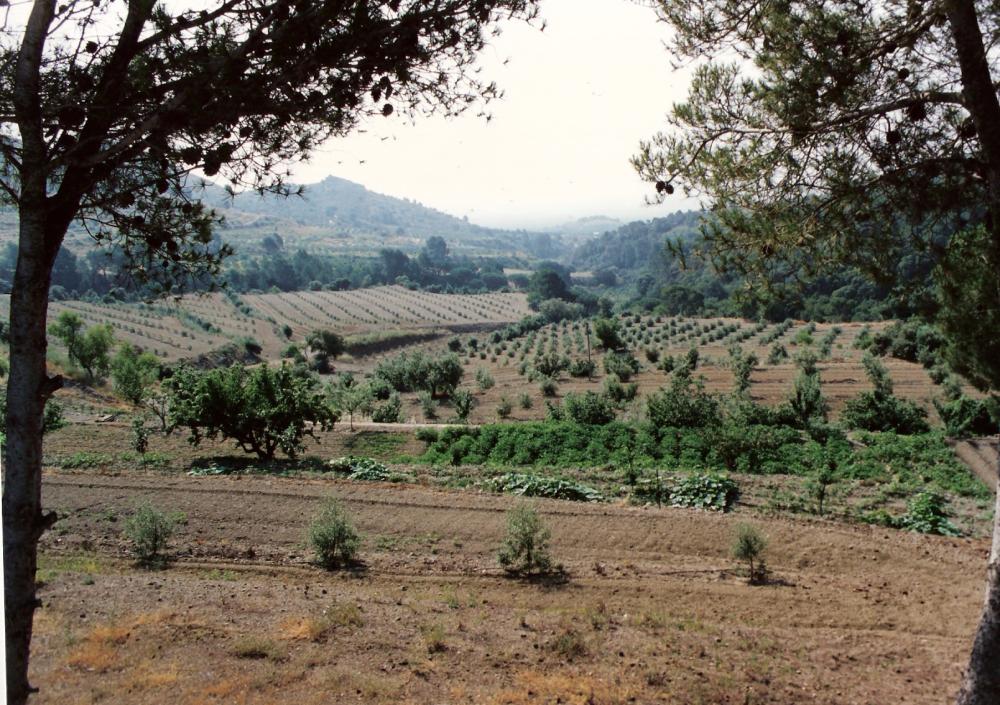  for sale villa Almoster Baix Camp 23