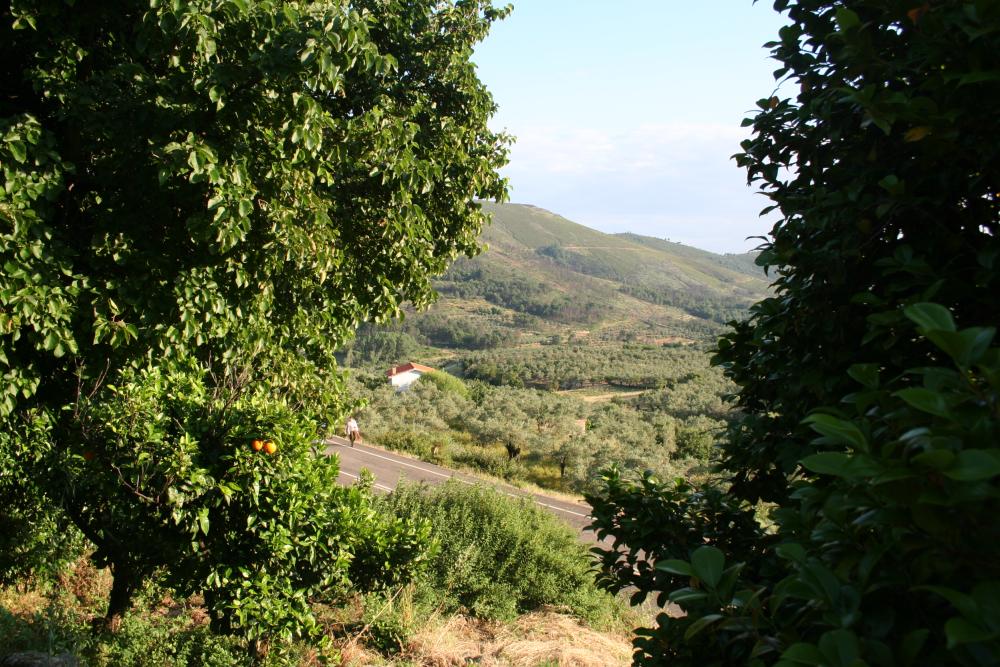  for sale terraced house Gata Sierra De Gata 8