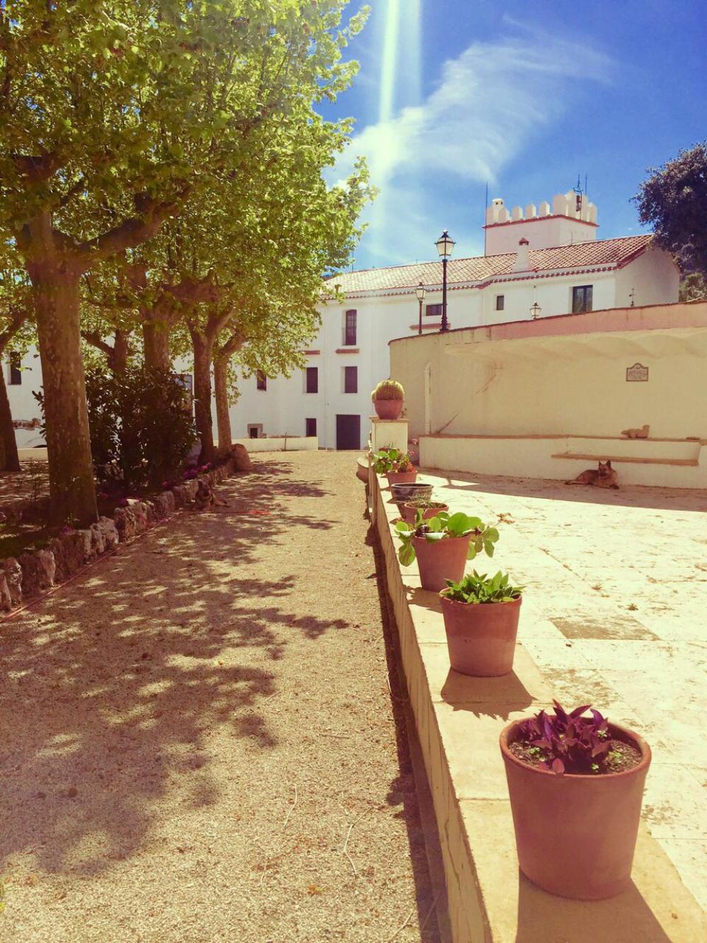  for sale villa Almoster Baix Camp 70