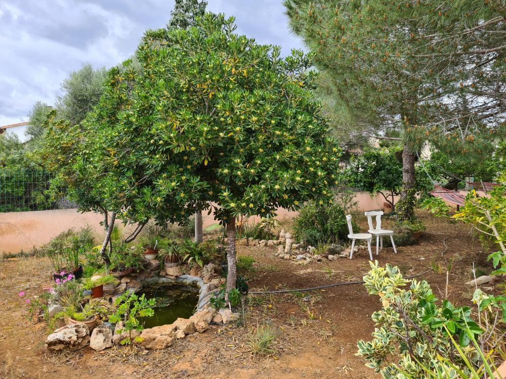  for sale villa Sa Ràpita Sud 16