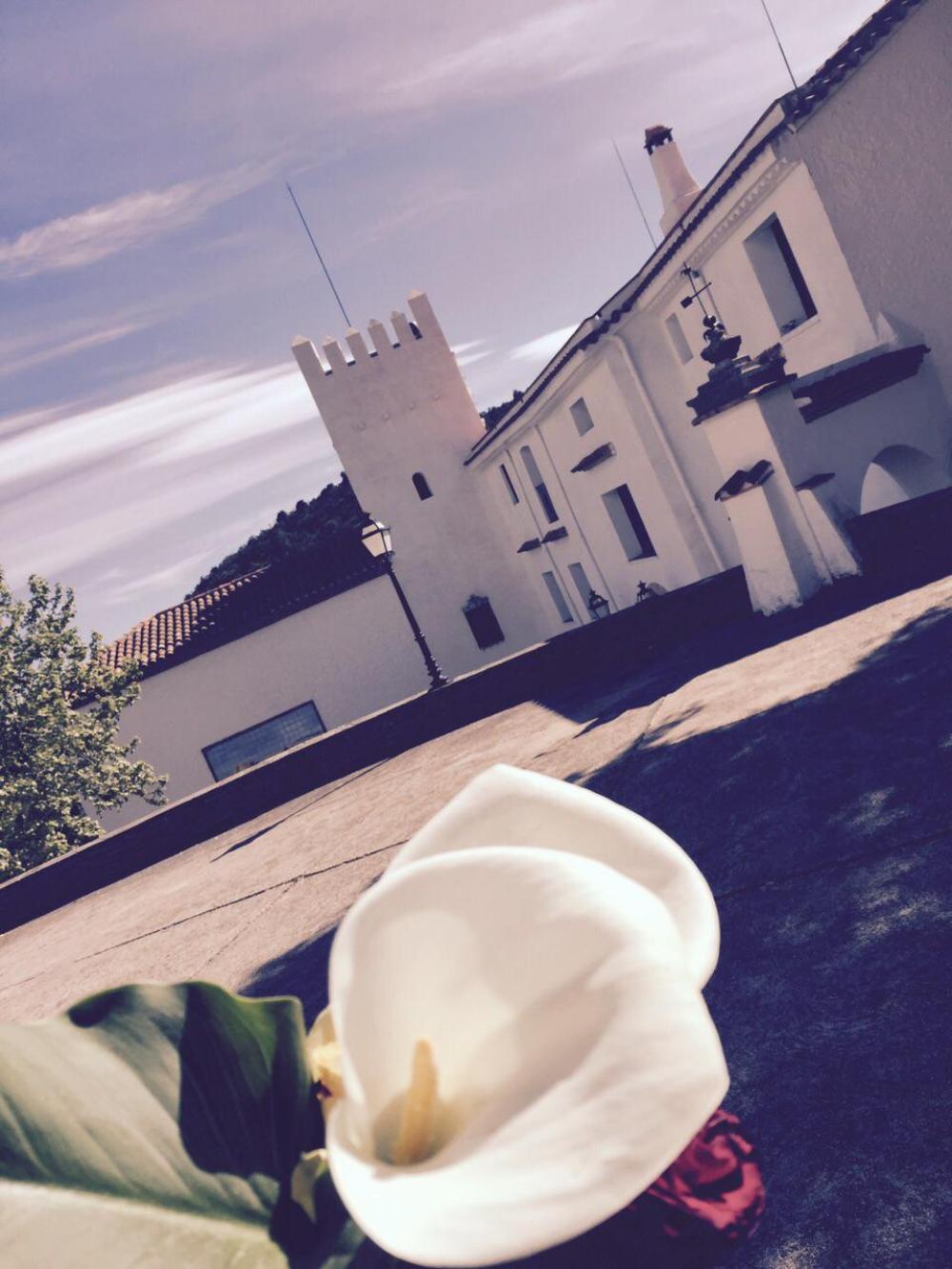  for sale villa Almoster Baix Camp 77