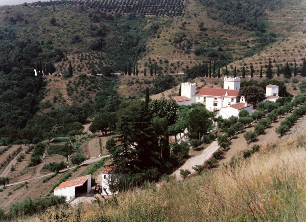  for sale villa Almoster Baix Camp 22