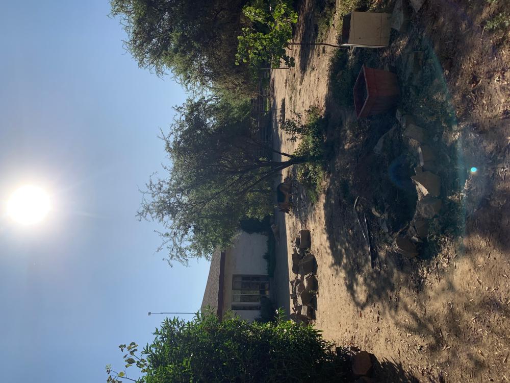  for sale house Barrio De Panchito Ramos Tuineje 3