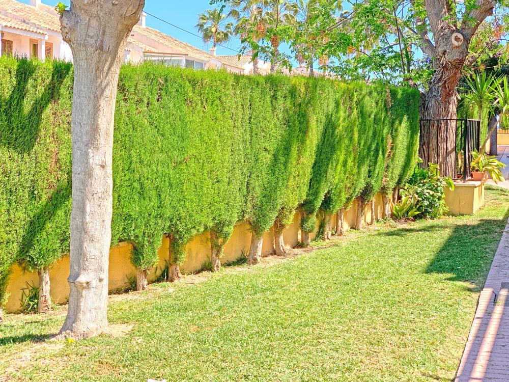  for sale semi-detached house Gran Alacant Baix Vinalopó 35