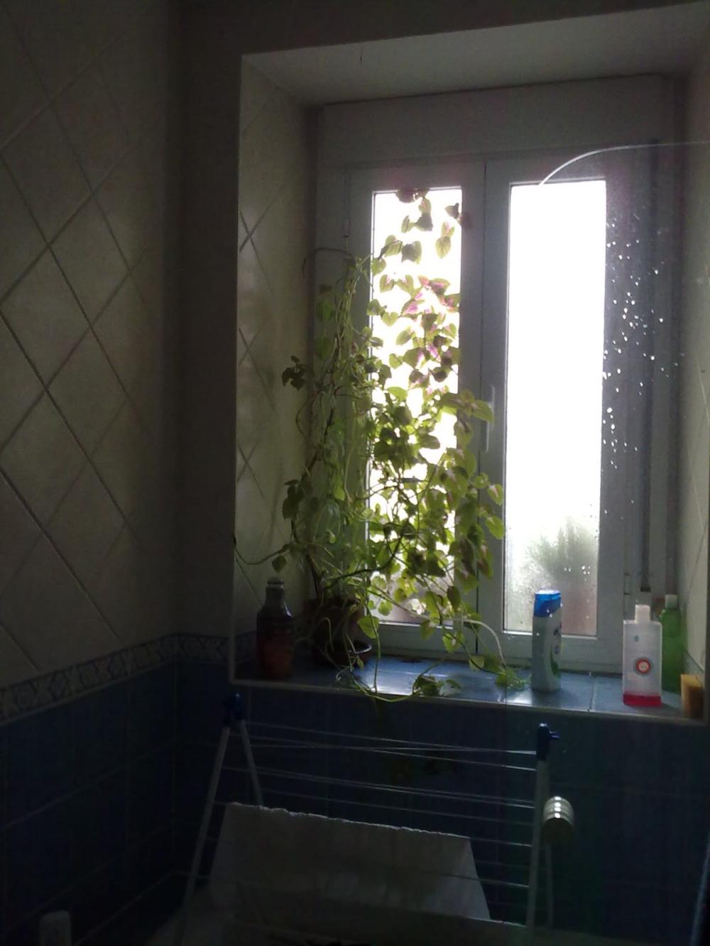  for sale apartment Trujillo Trujillo 14