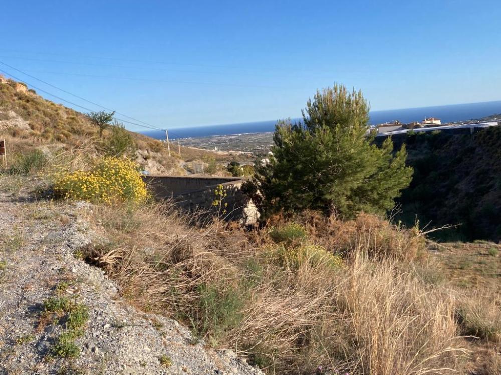 for sale country house Molvízar Costa Tropical 2