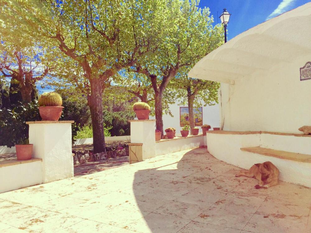 for sale villa Almoster Baix Camp 78