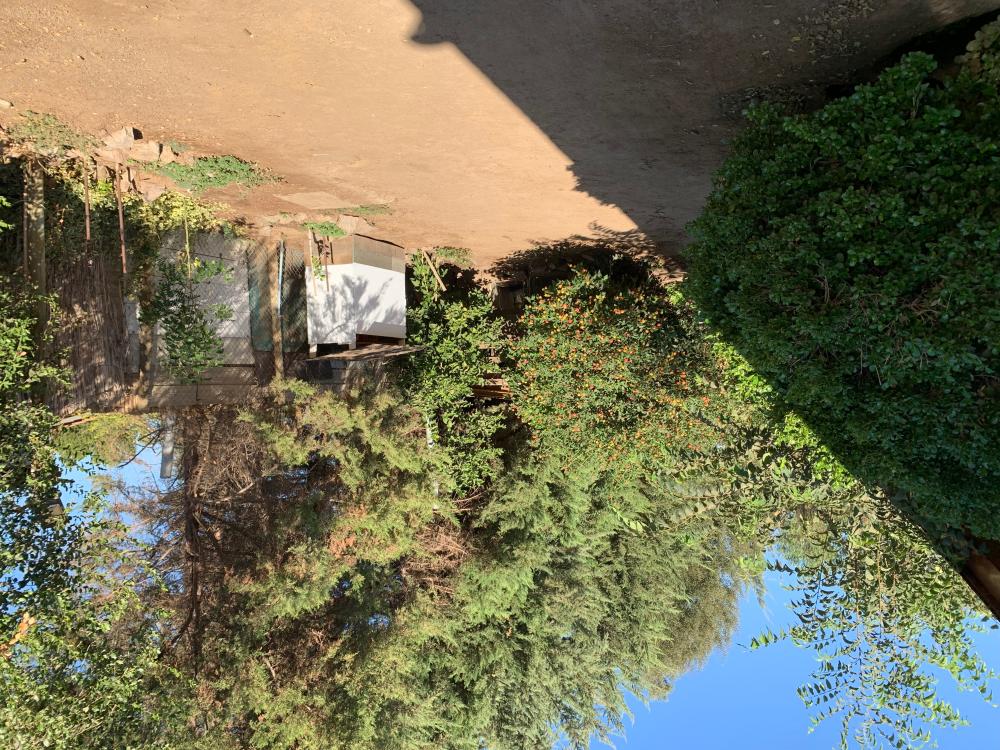  for sale house Barrio De Panchito Ramos Tuineje 14