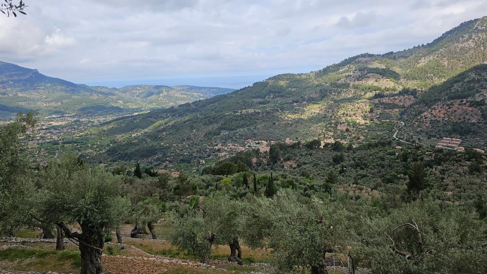  for sale country house Fornalutx Tramuntana 25