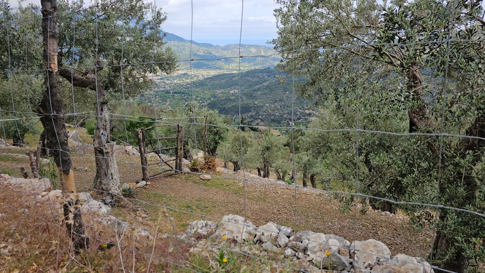  for sale country house Fornalutx Tramuntana 23