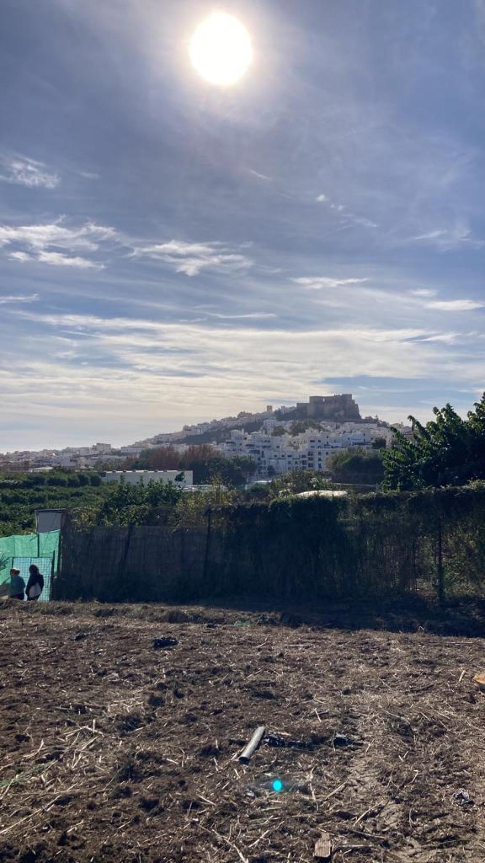 for sale country house Salobreña Costa Tropical 6