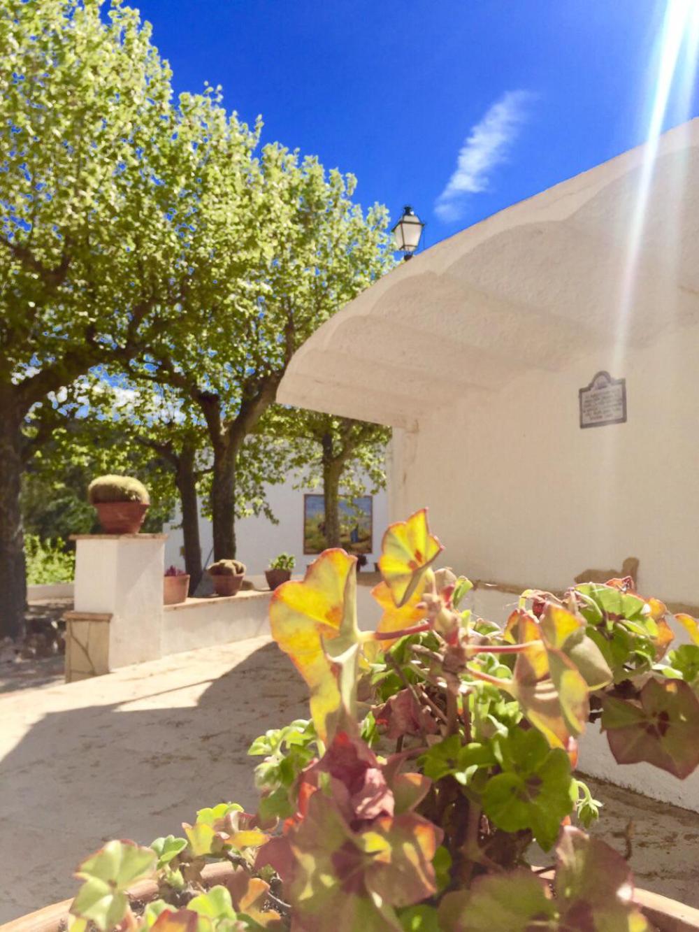  for sale villa Almoster Baix Camp 80