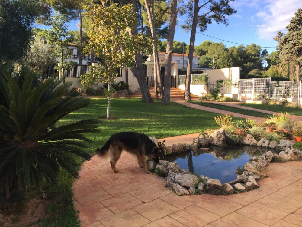 for sale manor house Picassent Horta Sud 4