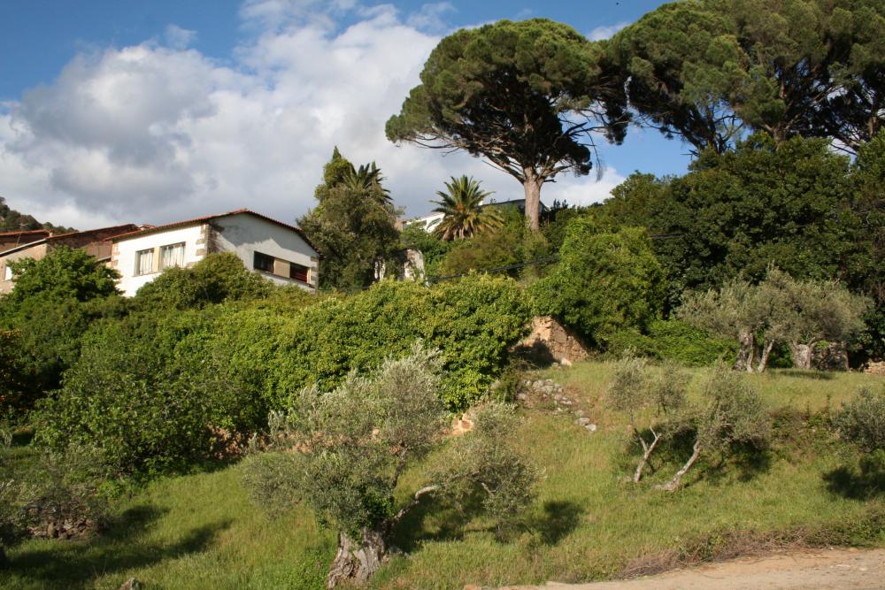  for sale terraced house Gata Sierra De Gata 4