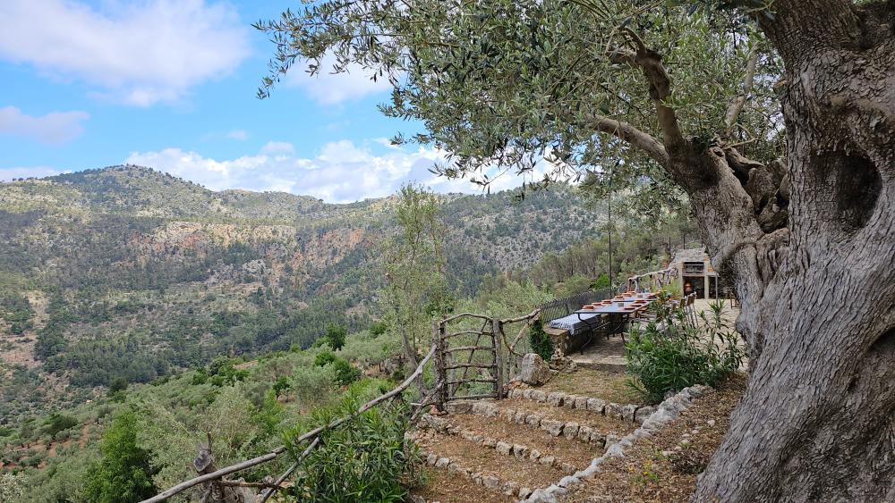  for sale country house Fornalutx Tramuntana 14