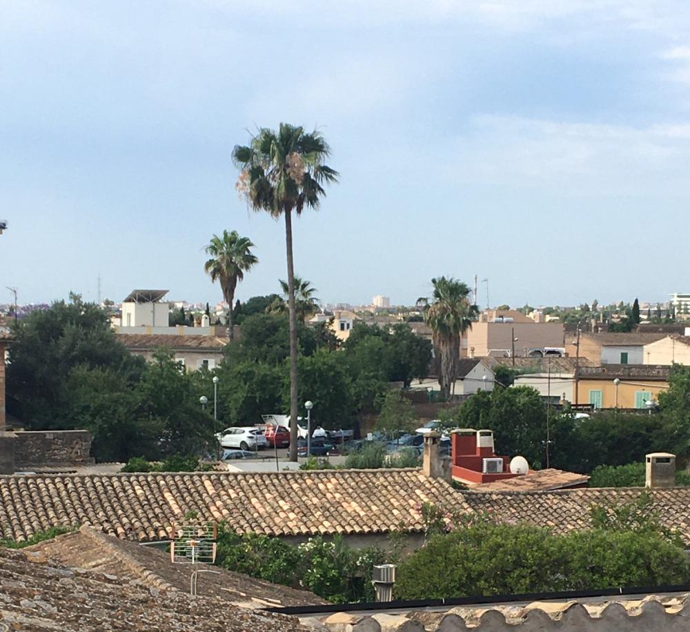  for sale apartment Son Sardina-Sa Garriga-Son Llompart Palma 16