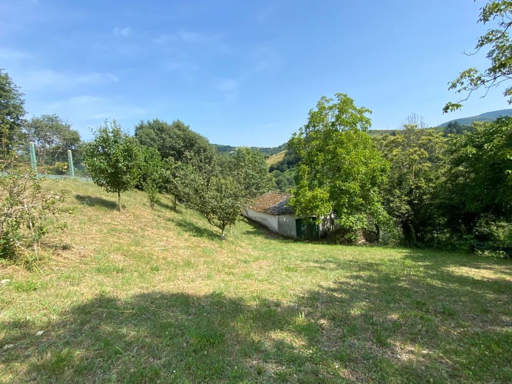  for sale plot As Nogais Ancares 5
