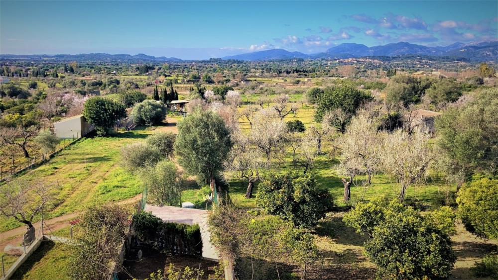  for sale semi-detached house Campanet Raiguer 37