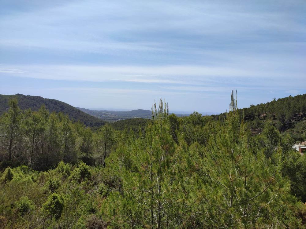  for sale plot Sant Carles De Peralta Santa Eulària Des Riu 2