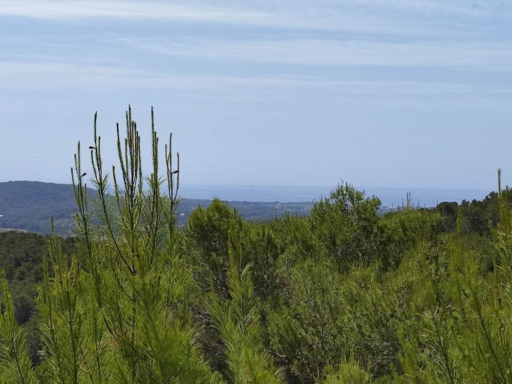  for sale plot Sant Carles De Peralta Santa Eulària Des Riu 1