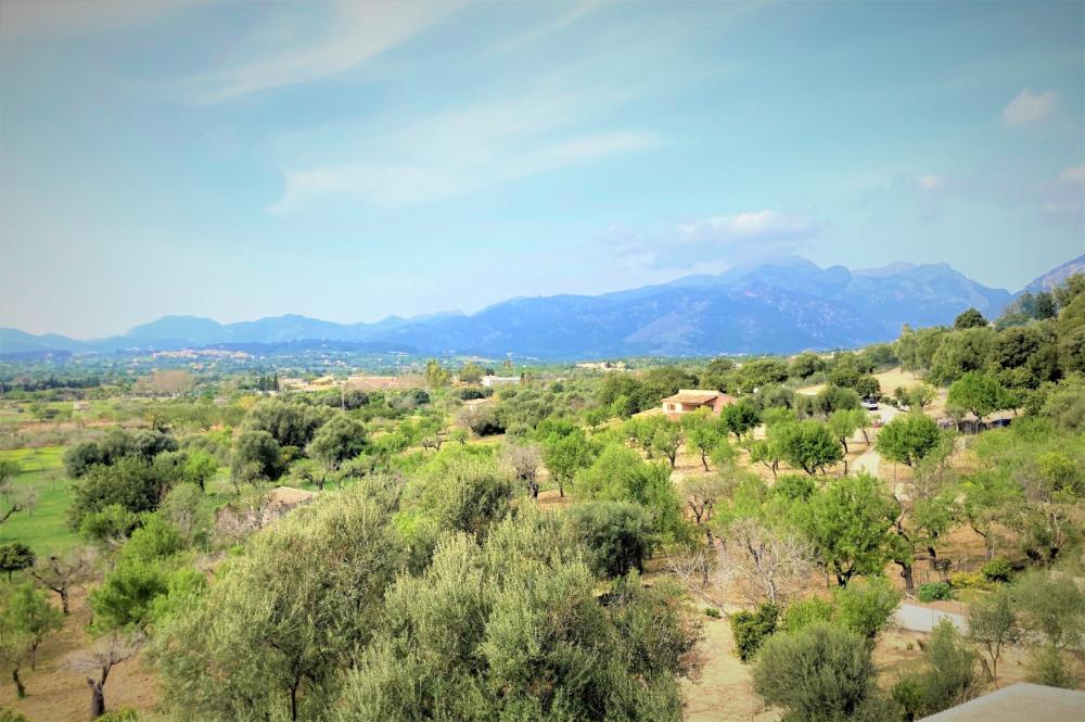  for sale semi-detached house Campanet Raiguer 39