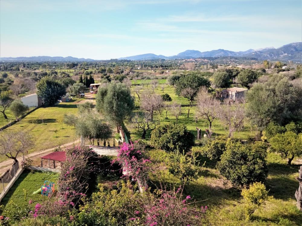  for sale semi-detached house Campanet Raiguer 38