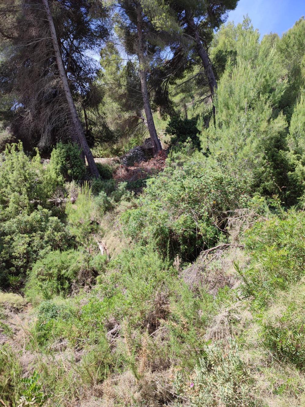  for sale plot Sant Carles De Peralta Santa Eulària Des Riu 5