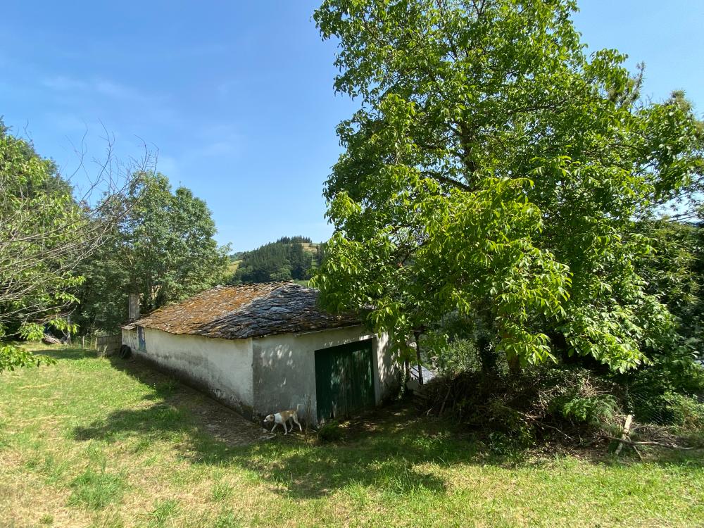  for sale plot As Nogais Ancares 2