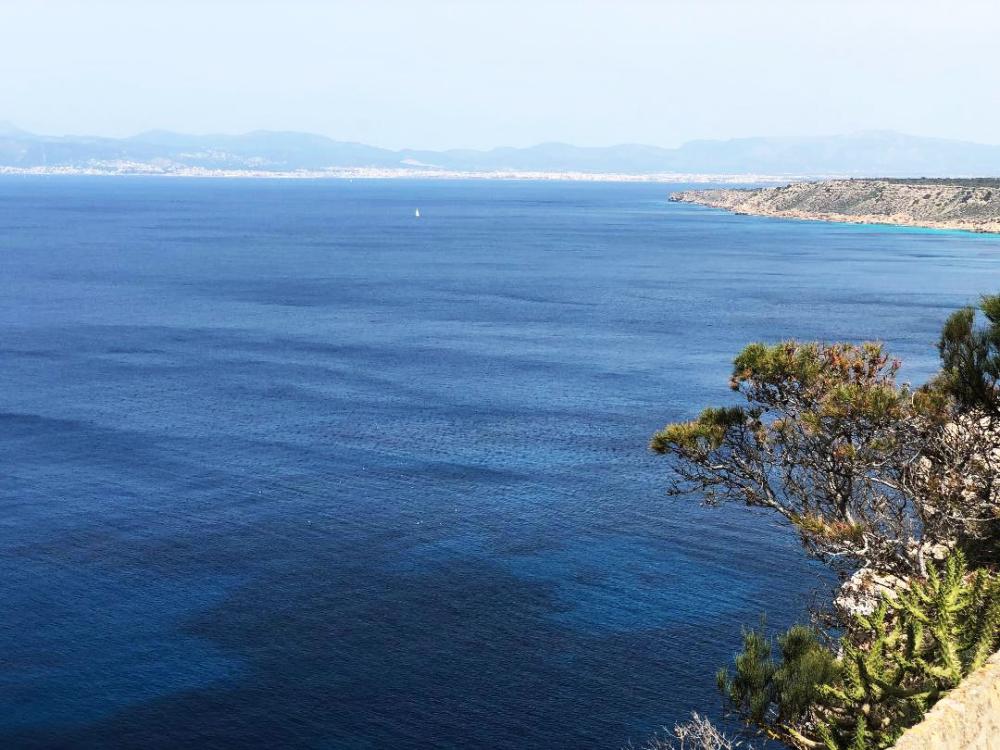  for sale ground floor Badia Gran Llucmajor 1