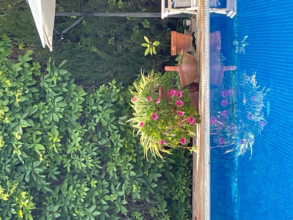  for sale villa San Pablo-Santa Justa Metropolitana De Sevilla 16