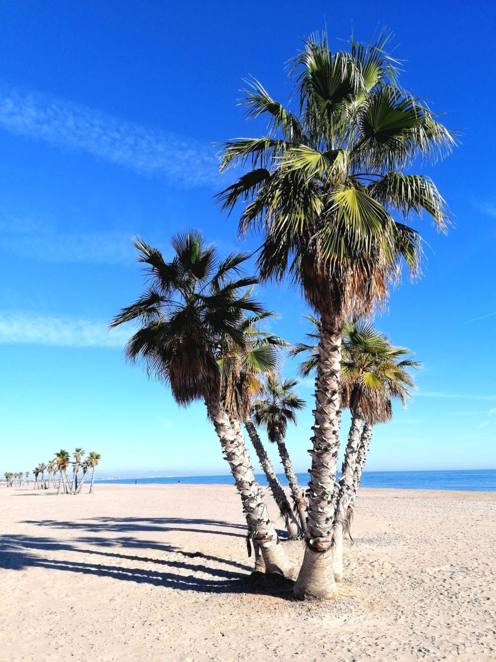  for sale apartment Canet D'en Berenguer Camp De Morvedre 18