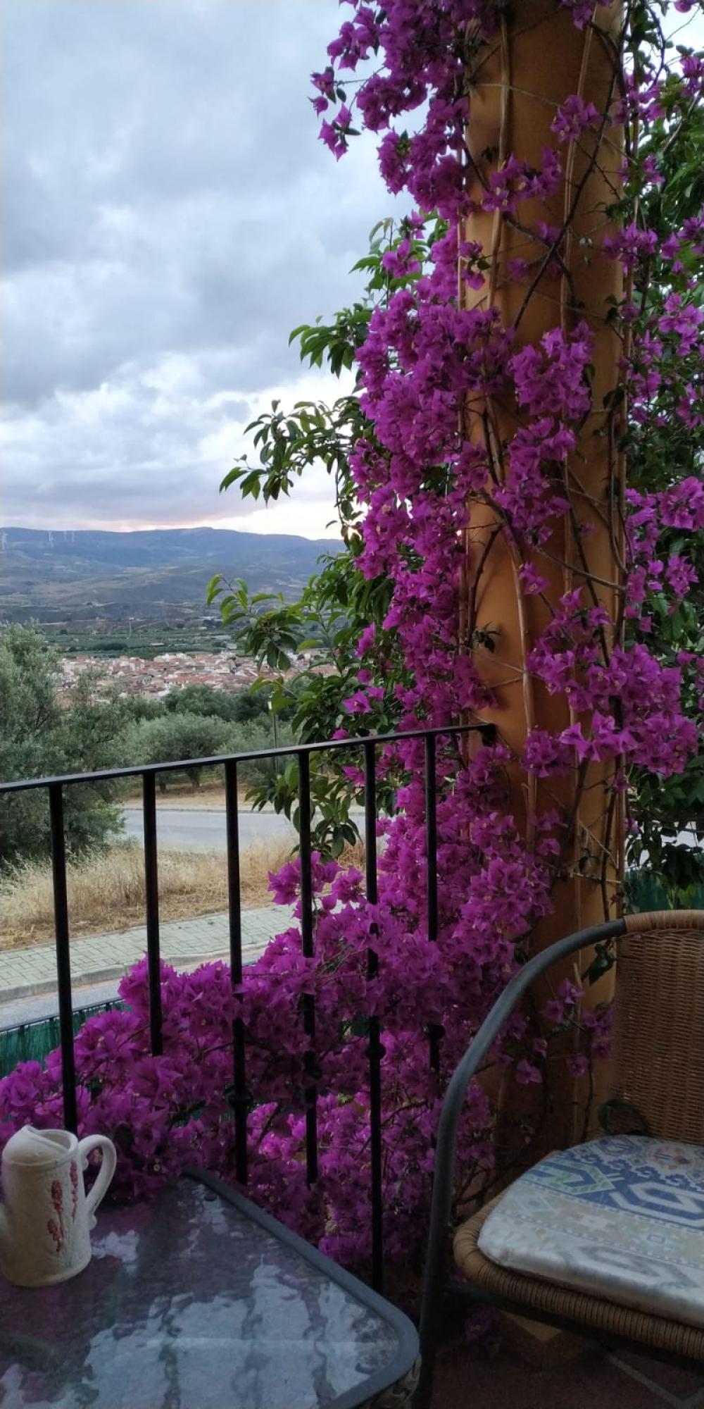  for sale villa Dúrcal Valle De Lecrín 40