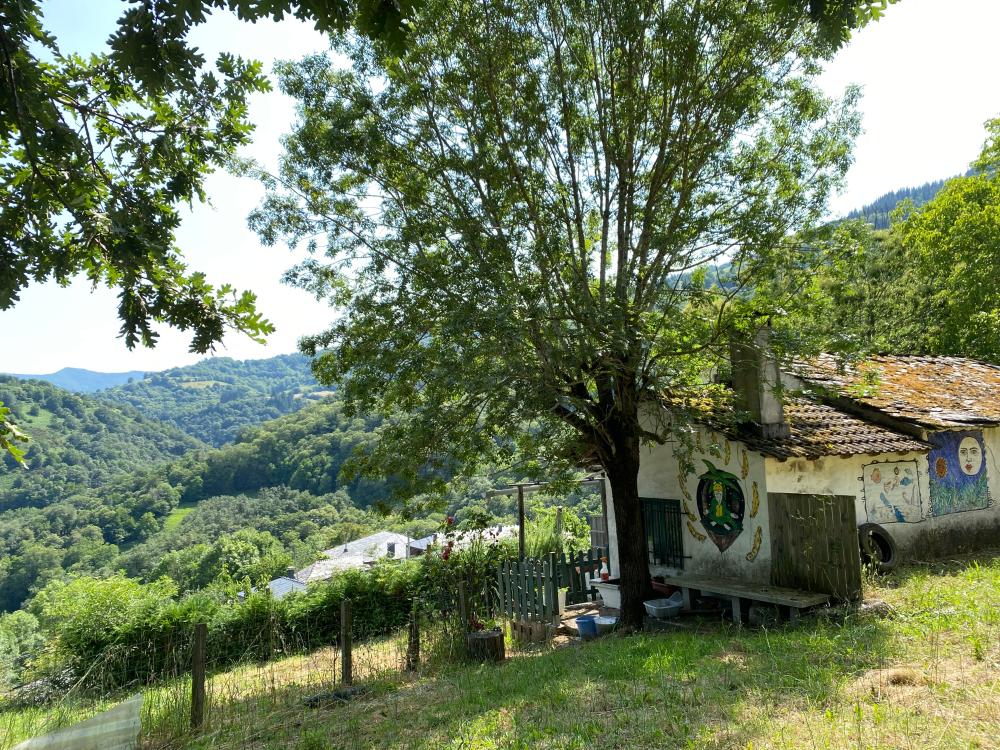  for sale plot As Nogais Ancares 1