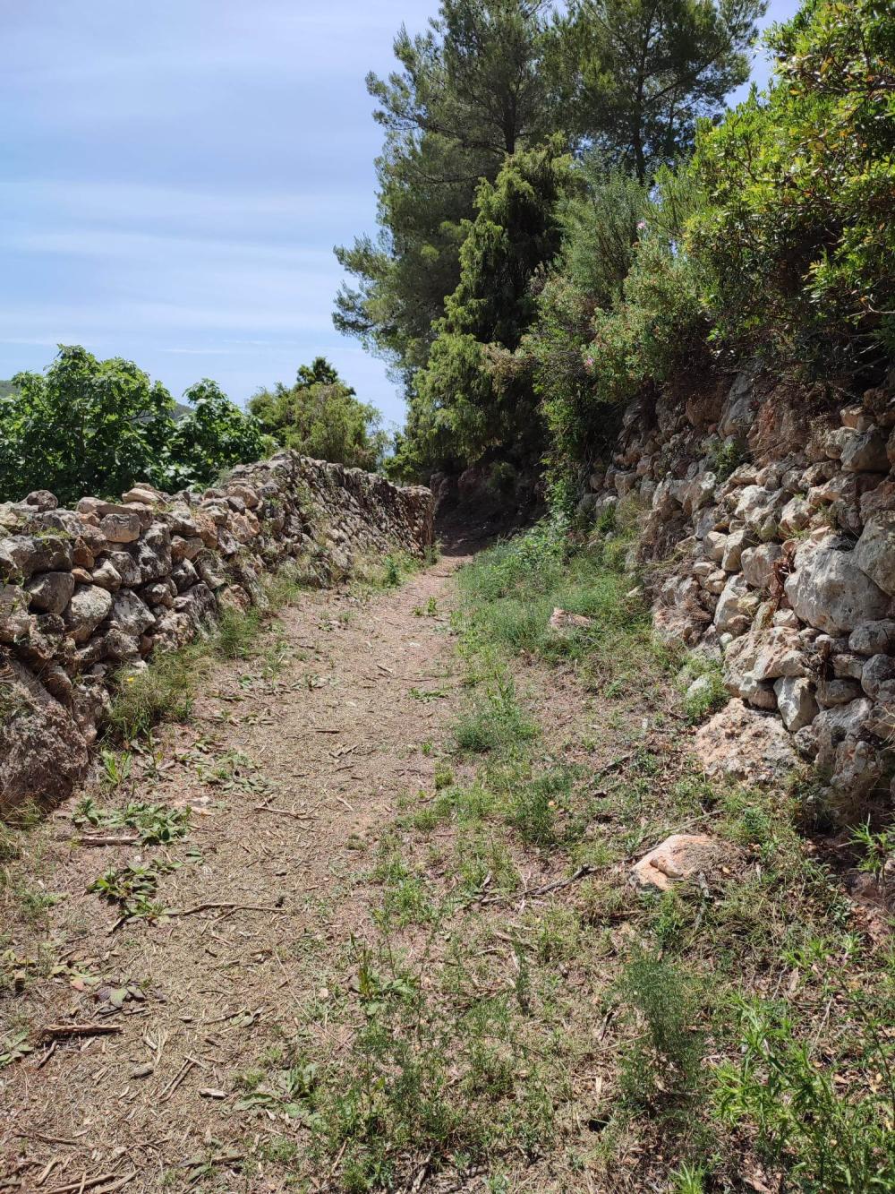  for sale plot Sant Carles De Peralta Santa Eulària Des Riu 3