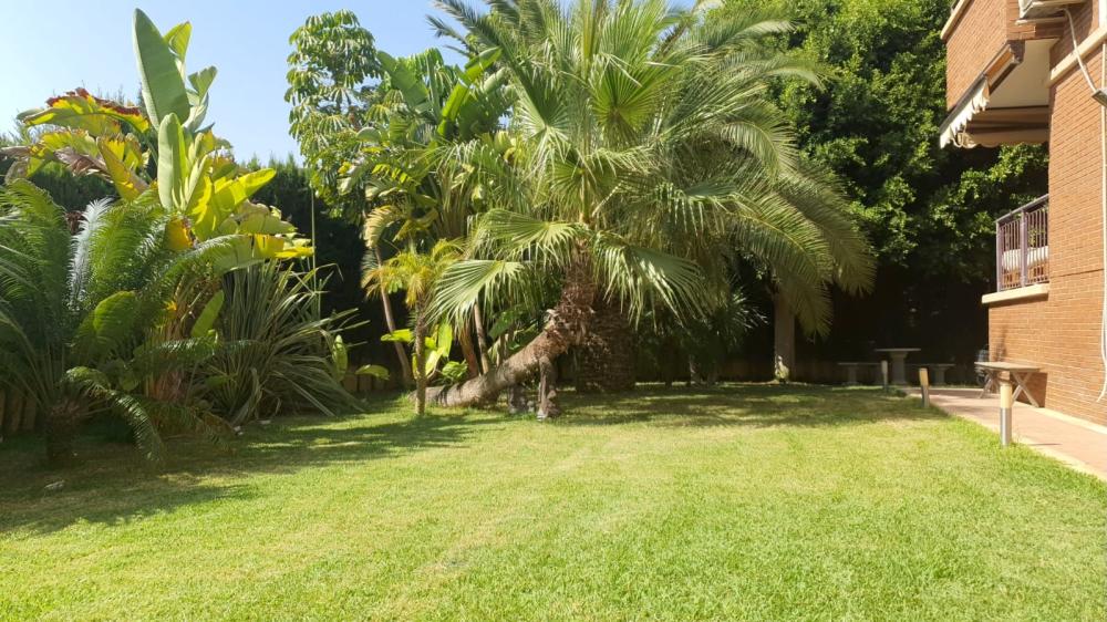  for sale villa L'almaixada Alacantí 5